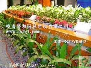 嶺南嘉和園林 科學城植物租賃與綠化養護的專業供應商